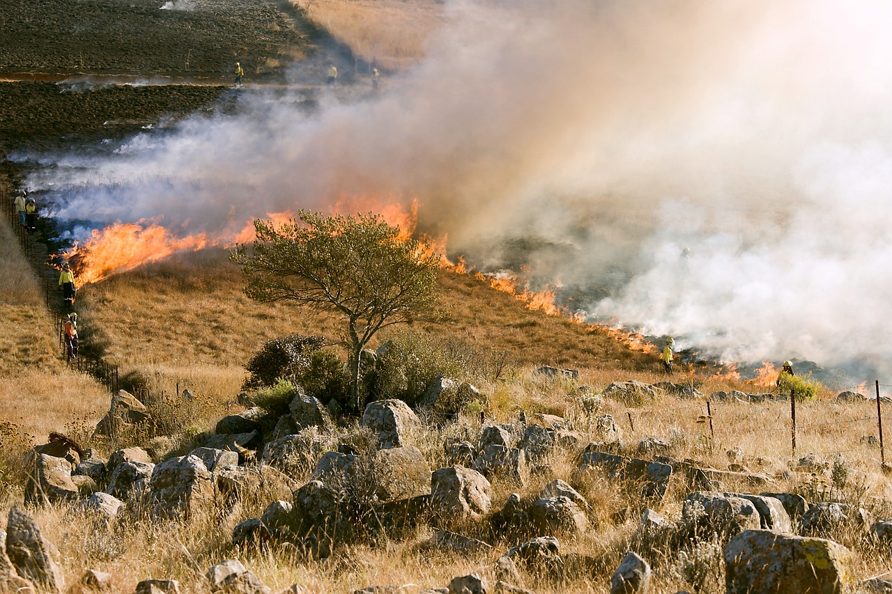 Protecting Your Home During Wildfire Season